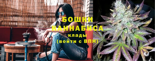 гидра Горно-Алтайск