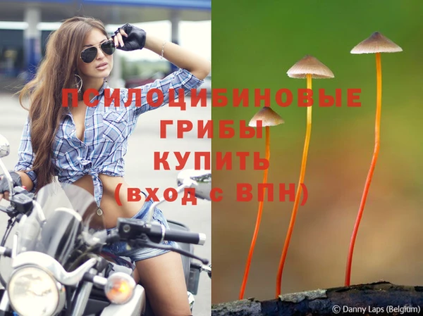 гидра Горно-Алтайск